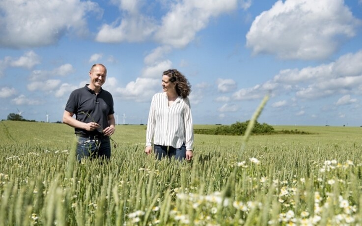 - Dette kan blive en grøn revolution for dansk landbrug