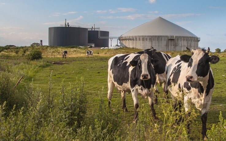 Jyske investeringer i biogasanlæg