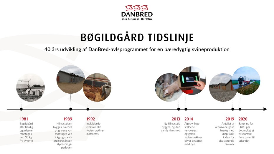 DanBred Bøgildgård Tidslinje_DK_300PPI_Web