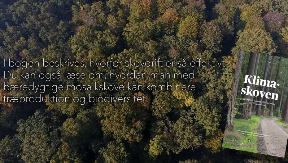Video: Ny bog sætter lys på skoven som CO2-opbevarer