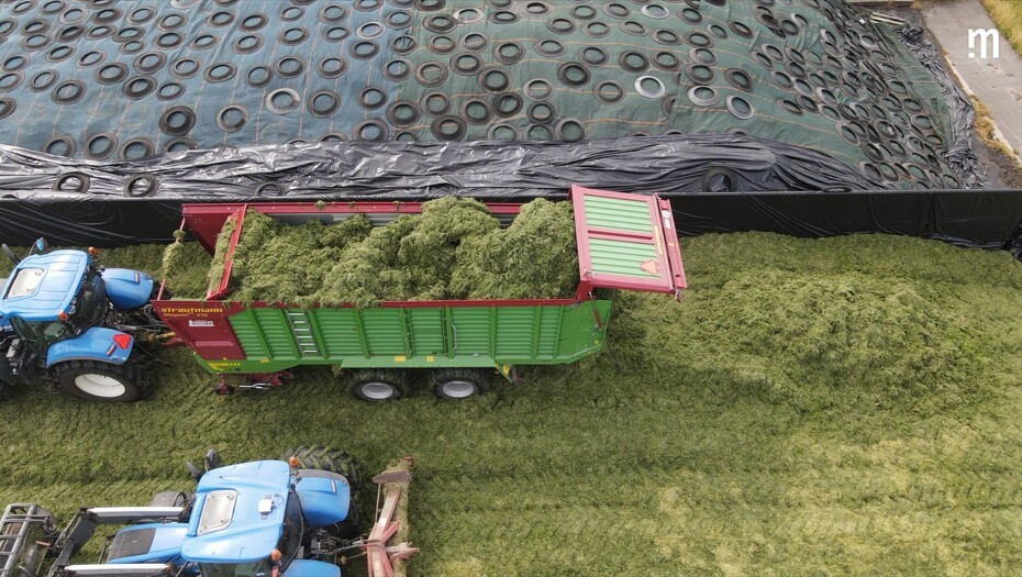 Video: Snittervogn med gummi pick-up, snitter græs i vestjylland