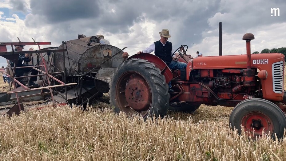Video: Video: Veteranhøst med et væld af sjældne maskiner
